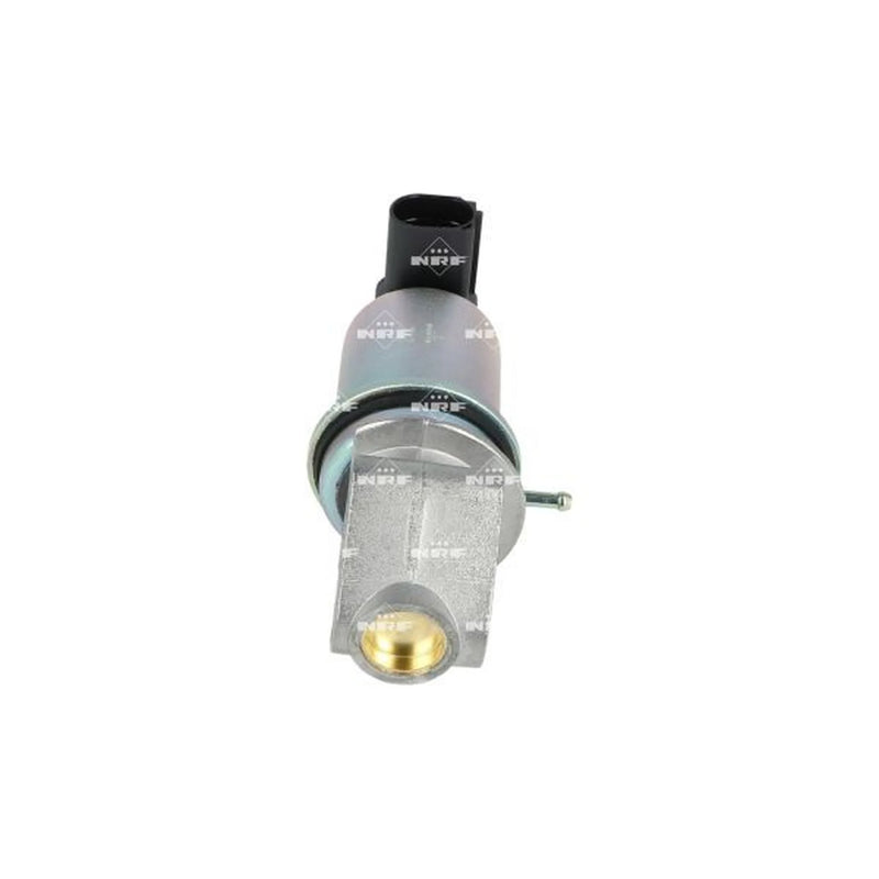 NRF Exhaust Gas Recirculation Valve 48337