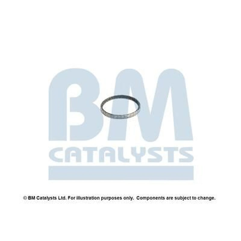 BM Catalysts Fitting Kit FK92516A FK92516A