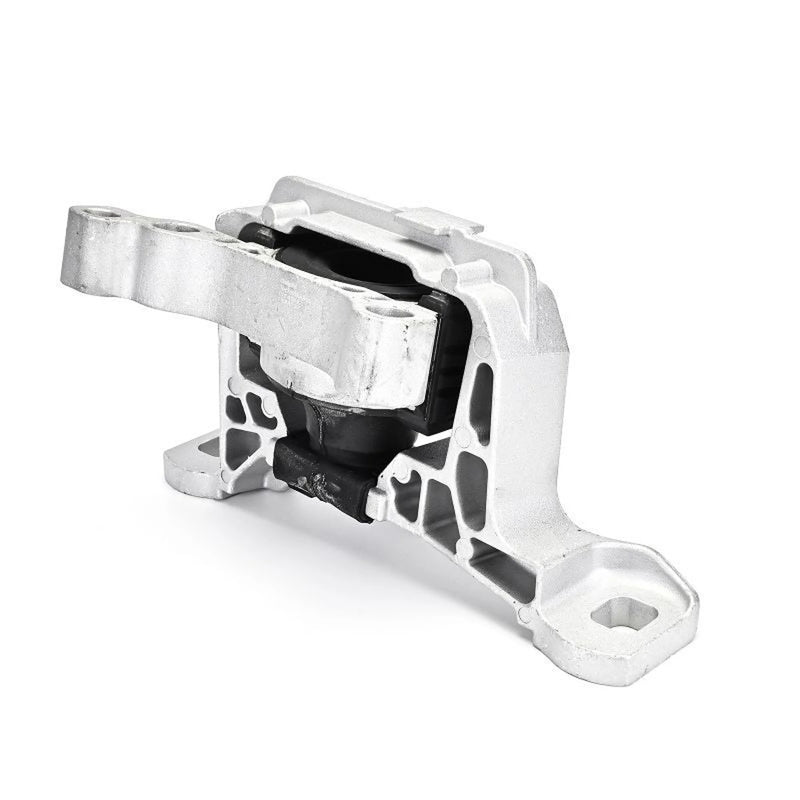 Delphi Engine Mount Mounting Right TEM137