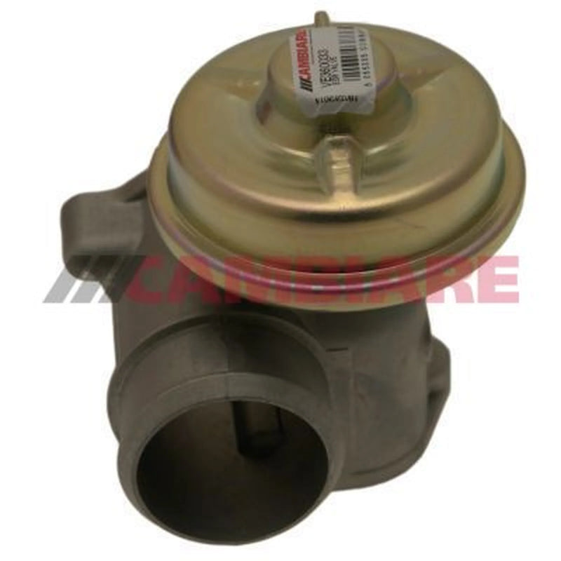 Cambiare Exhaust Gas Recirculation Valve VE360033