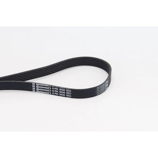 Continental CTAM Multi V-Ribbed Drive Belt 6PK1836