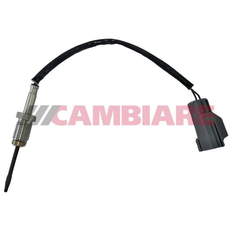 Cambiare Exhaust Gas Temperature Sensor VE390280