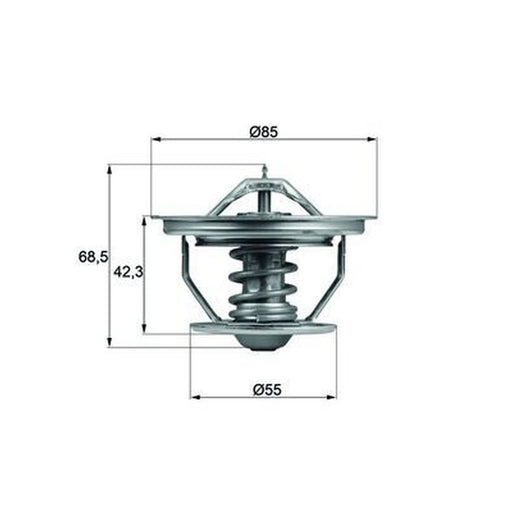Mahle Thermostat,Coolant TX 57 71