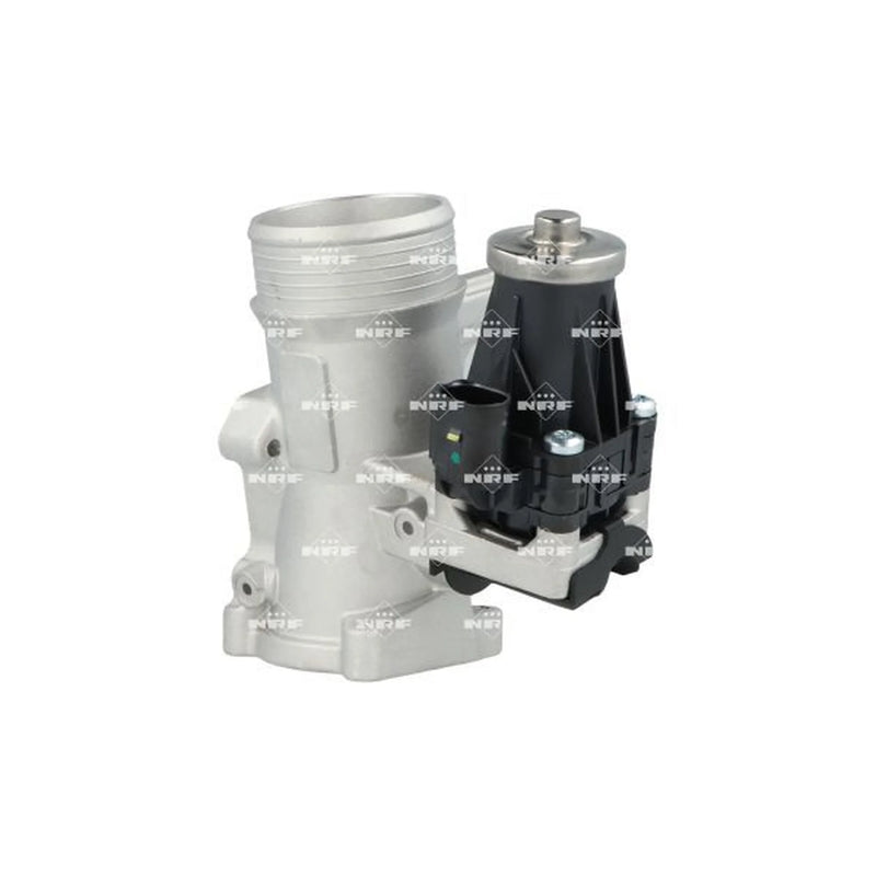 NRF Exhaust Gas Recirculation Valve 48738