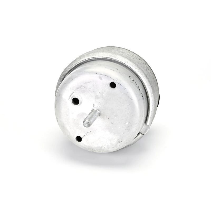 Delphi Engine Mount Mounting Front TEM143