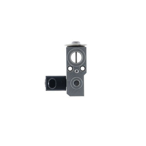 Mahle Air Conditioning Expansion Valve AVE 159 000P