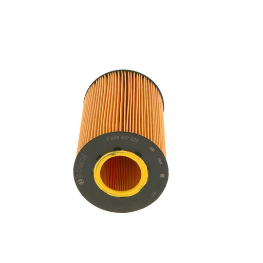 Bosch Engine Oil Filter F 026 407 220 OE 7420796782 7420998809 20796785 20998807