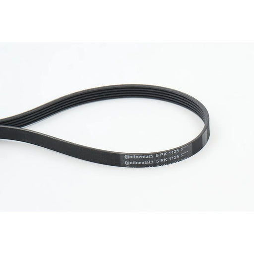 Continental CTAM Multi V-Ribbed Drive Belt 5PK1125
