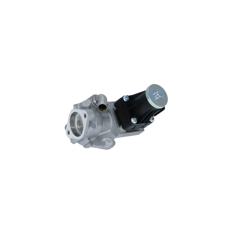 NRF Exhaust Gas Recirculation Valve 48356
