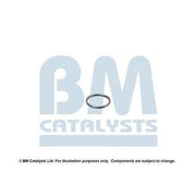 BM Catalysts Fitting Kit FK80194A FK80194A