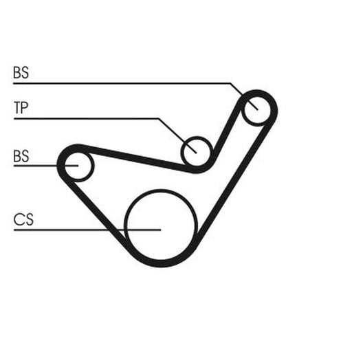 Continental CTAM Timing Belt Kit with Rollers CT1107K1