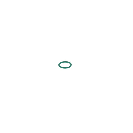 Bosch Rubber Seal Ring 2 440 210 014