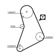 Gates Timing Belt Cambelt 122 Teeth 5069