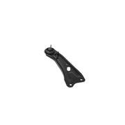 Delphi Control/Trailing Arm Left TC4920