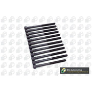 BGA Cylinder Head Bolt Set M12 BK2373