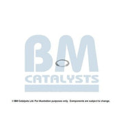 BM Catalysts Fitting Kit FK11165A FK11165A