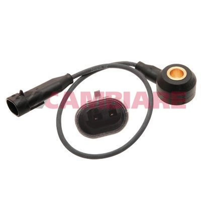 Cambiare Engine Knock Sensor VE369042