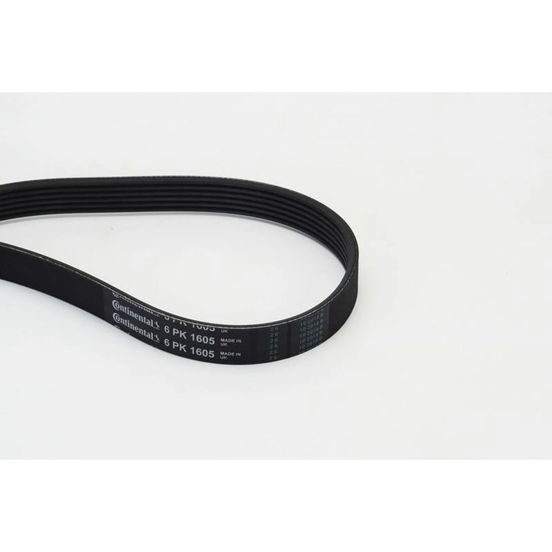 Continental CTAM Multi V-Ribbed Drive Belt 6PK1605