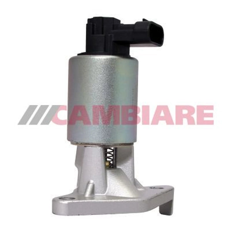 Cambiare Exhaust Gas Recirculation Valve VE360161