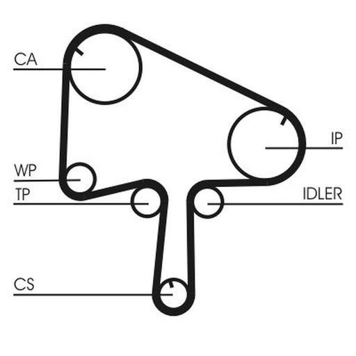 Continental CTAM Timing Belt Cambelt 153 Teeth CT1145