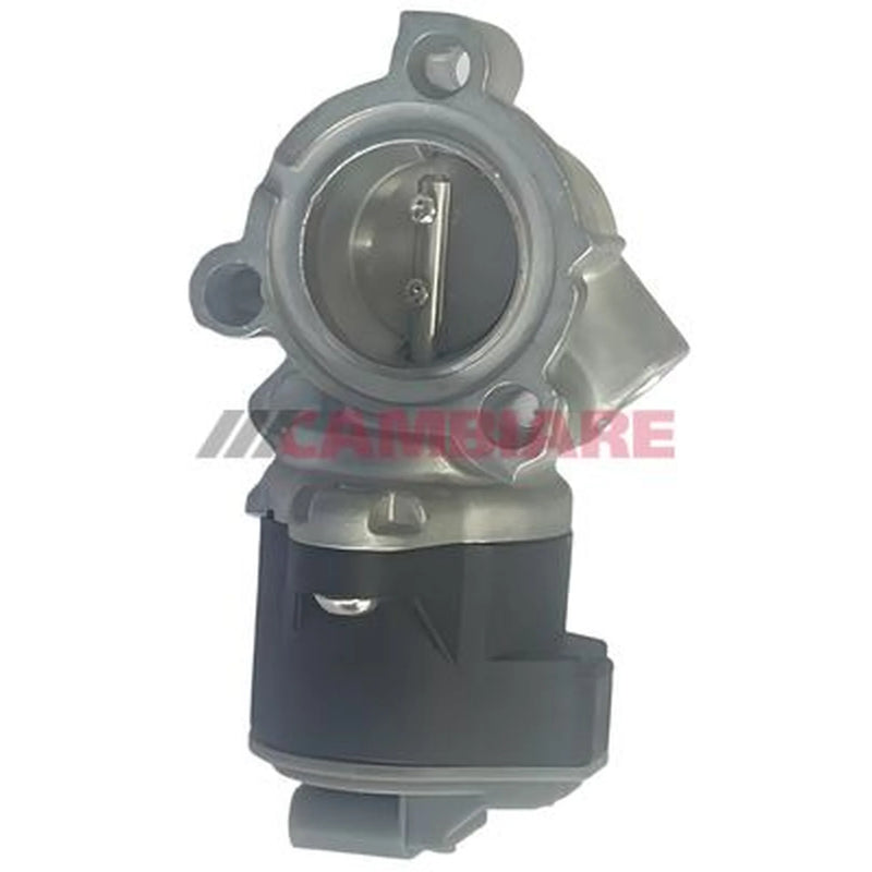Cambiare Exhaust Gas Recirculation Valve VE360096