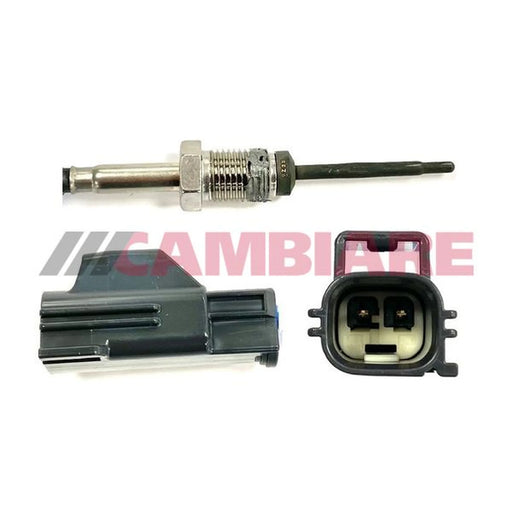 Cambiare Exhaust Gas Temperature Sensor Partic VE390433