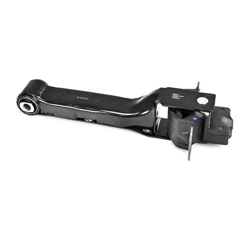 Delphi Engine Mount Mounting Rear TEM243