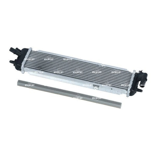 NRF Electric Motor Radiator (Traction Battery) 550368