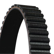 Continental CTAM Timing Belt Cambelt 239 Teeth CT1135