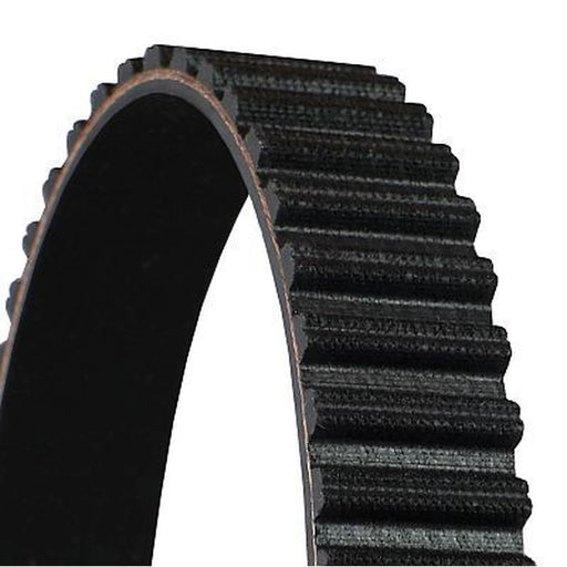 Continental CTAM Timing Belt Cambelt 239 Teeth CT1135