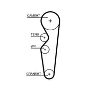 Gates Timing Belt Cambelt 97 Teeth 5665XS