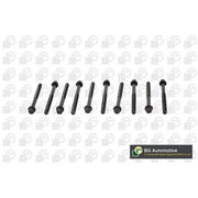 BGA Cylinder Head Bolt Set M14 BK1318