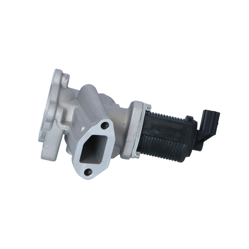 NRF Exhaust Gas Recirculation Valve 48325