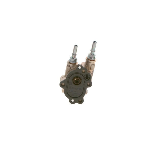 Bosch Fuel Pump Assembly 0 440 020 096
