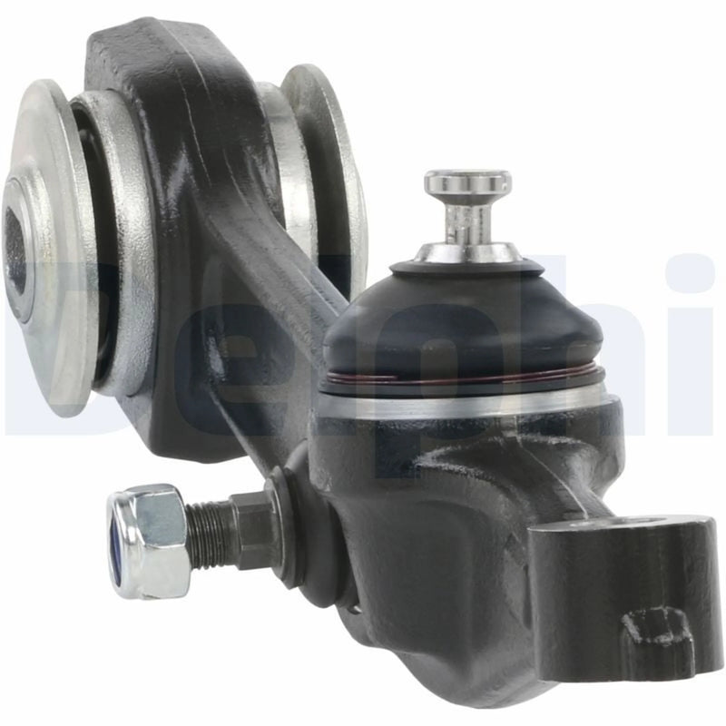 Delphi Control/Trailing Arm Lower TC1496