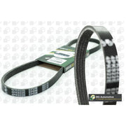 BGA Multi V-Ribbed Drive Belt 4PK1045