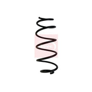 Apec Front Suspension Coil Spring ACS1674