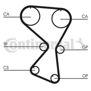 Continental CTAM Timing Belt Cambelt 175 Teeth CT1075