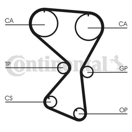 Continental CTAM Timing Belt Cambelt 175 Teeth CT1075
