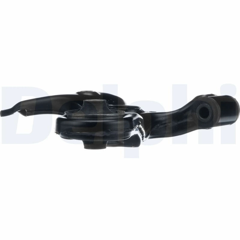 Delphi Control/Trailing Arm Lower TC5207