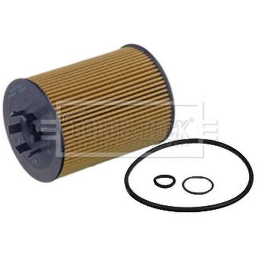 Borg & Beck Engine Oil Filter BFO4199
