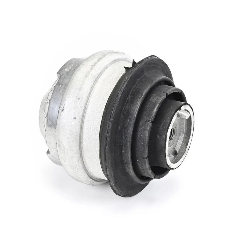 Delphi Engine Mount Mounting Front TEM144