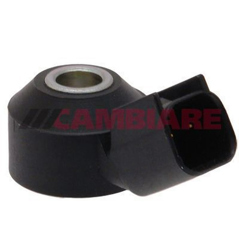 Cambiare Engine Knock Sensor VE369007