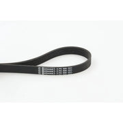 Continental CTAM Multi V-Ribbed Drive Belt 6PK906
