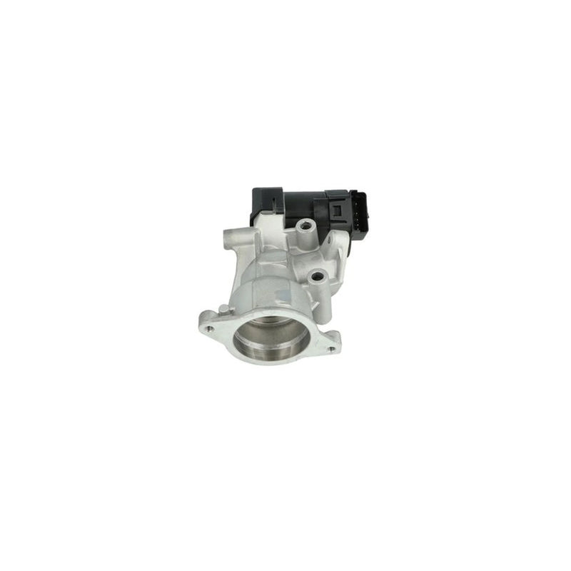 NRF Exhaust Gas Recirculation Valve 48398