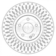 Borg & Beck 2 x Front Brake Discs BBD6081S-x2