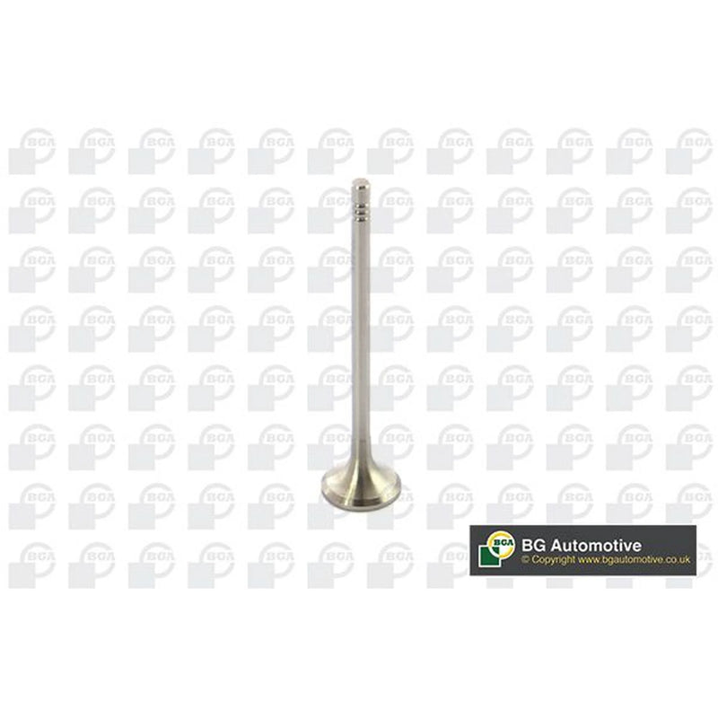 BGA Engine Exhaust Valve 21mm Head V591501