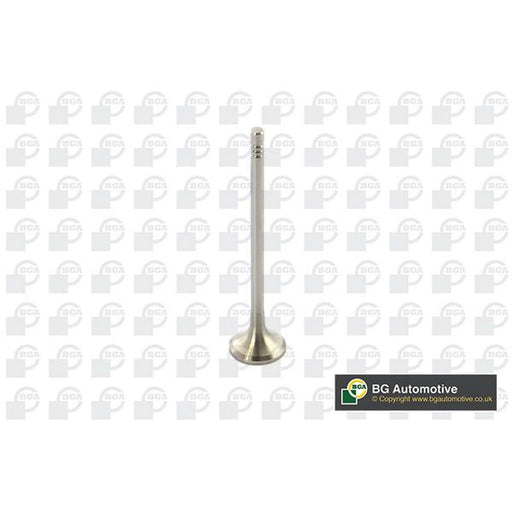 BGA Engine Exhaust Valve 21mm Head V591501