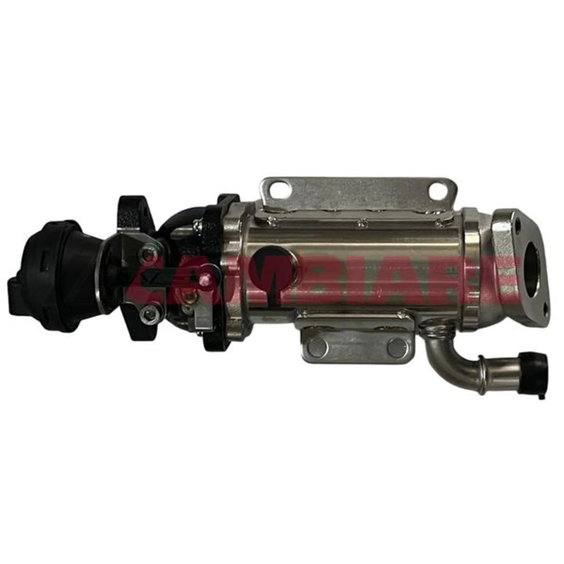 Cambiare EGR Cooler (Exhaust Gas Recirculation) VE360407