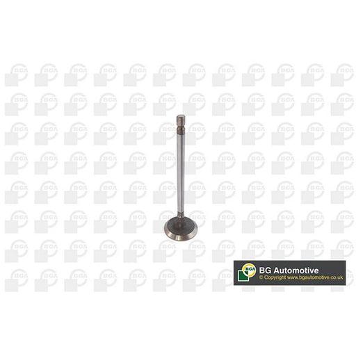 BGA Engine Intake Valve 31mm Head V611981
